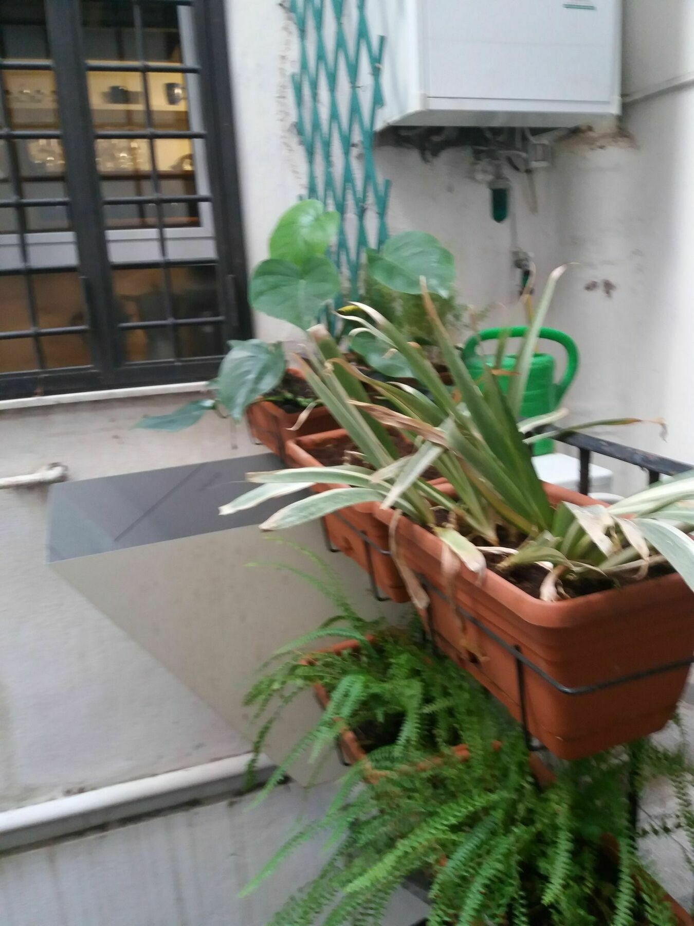 坎博费奥利公寓 罗马 外观 照片
